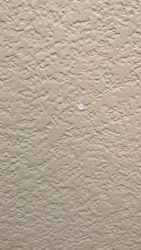 Slide of Sunny view drywall