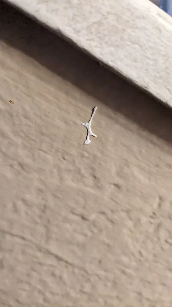 Slide of Sunny view drywall