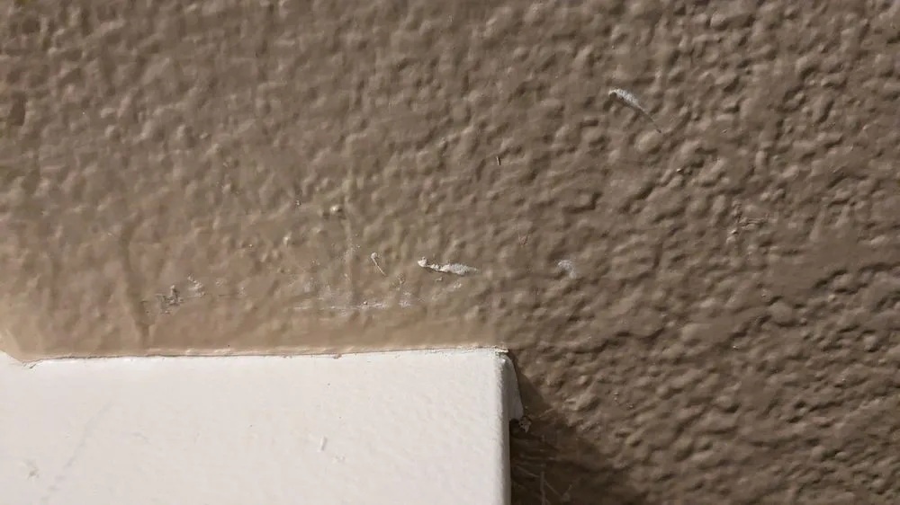 Slide of Sunny view drywall