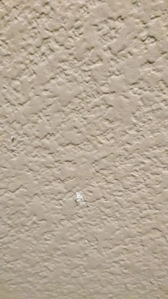 Slide of Sunny view drywall