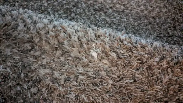 Sunny view drywall Logo