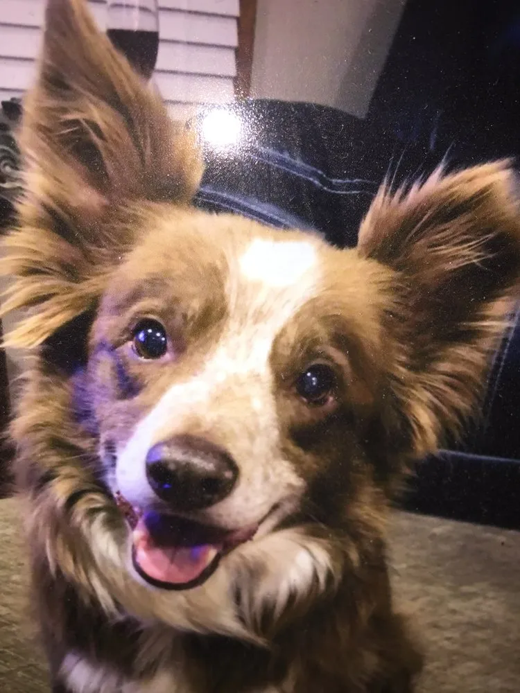 Slide of Sunset Plumbing and Heating cheektowaga