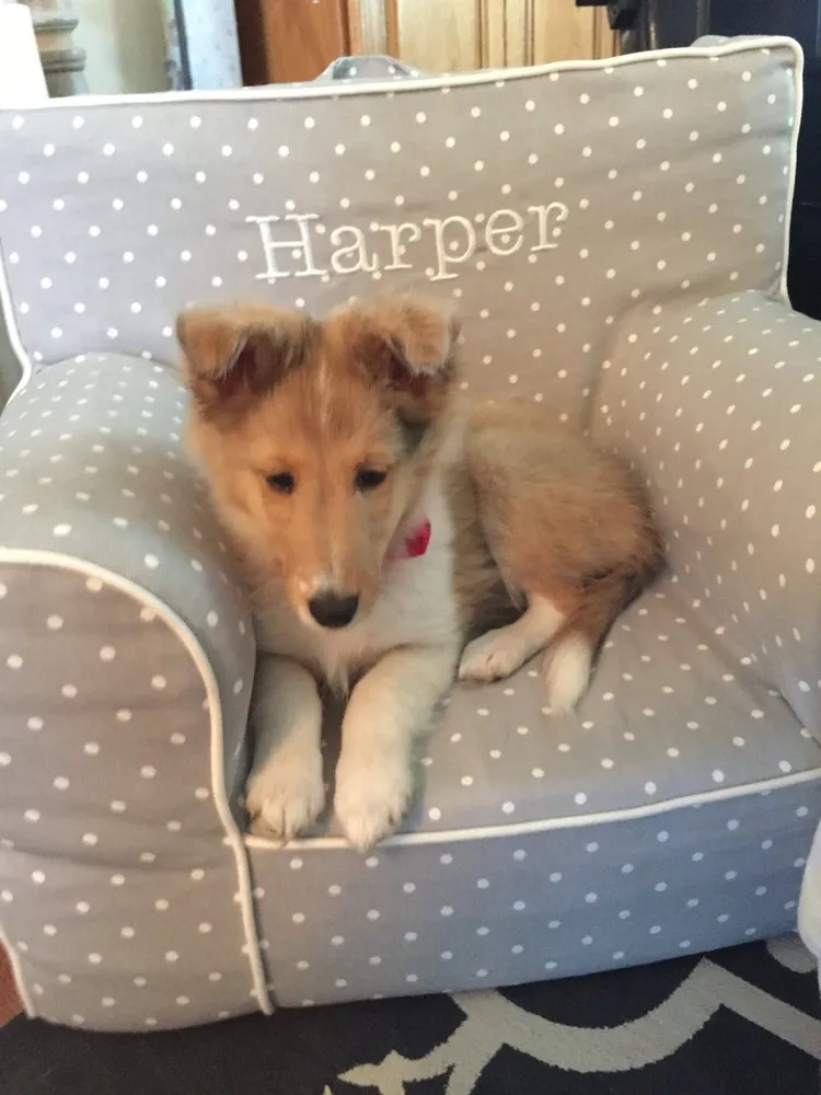 Slide of Sunset Plumbing and Heating cheektowaga