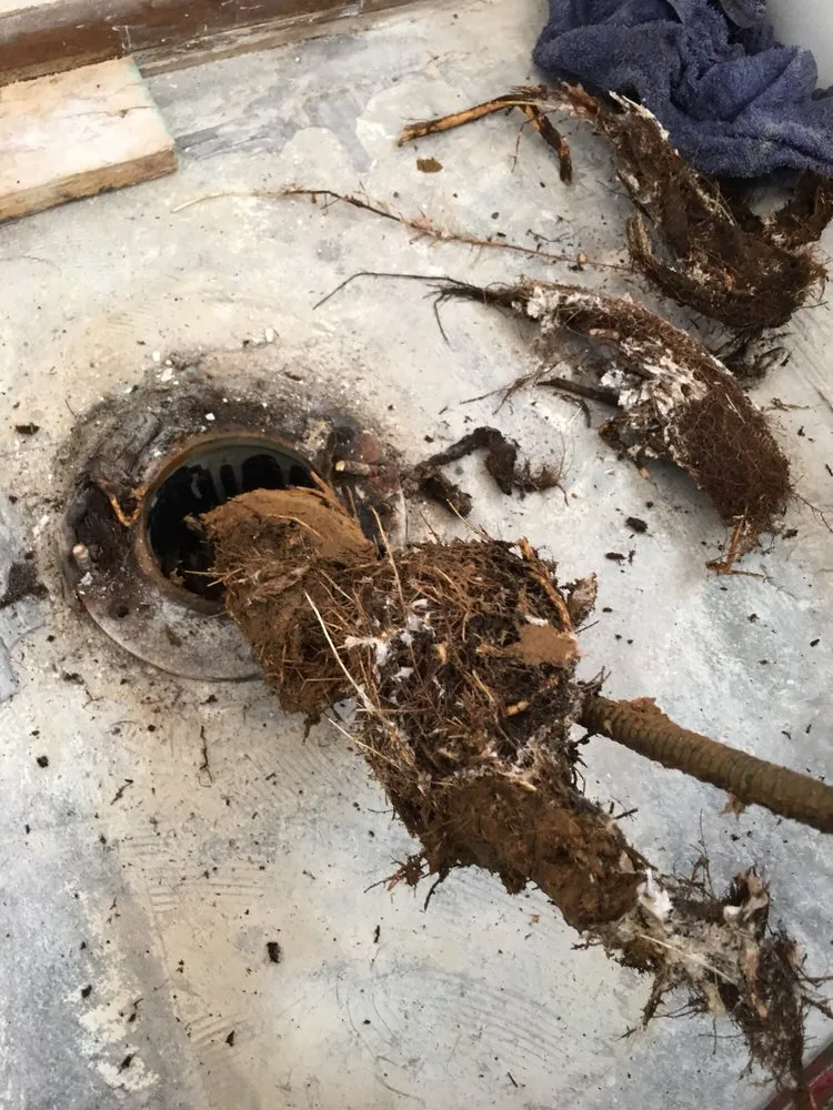 Trusted drain cleaning experts serving San Diego, CA - Sunset Professional Plumbing Services