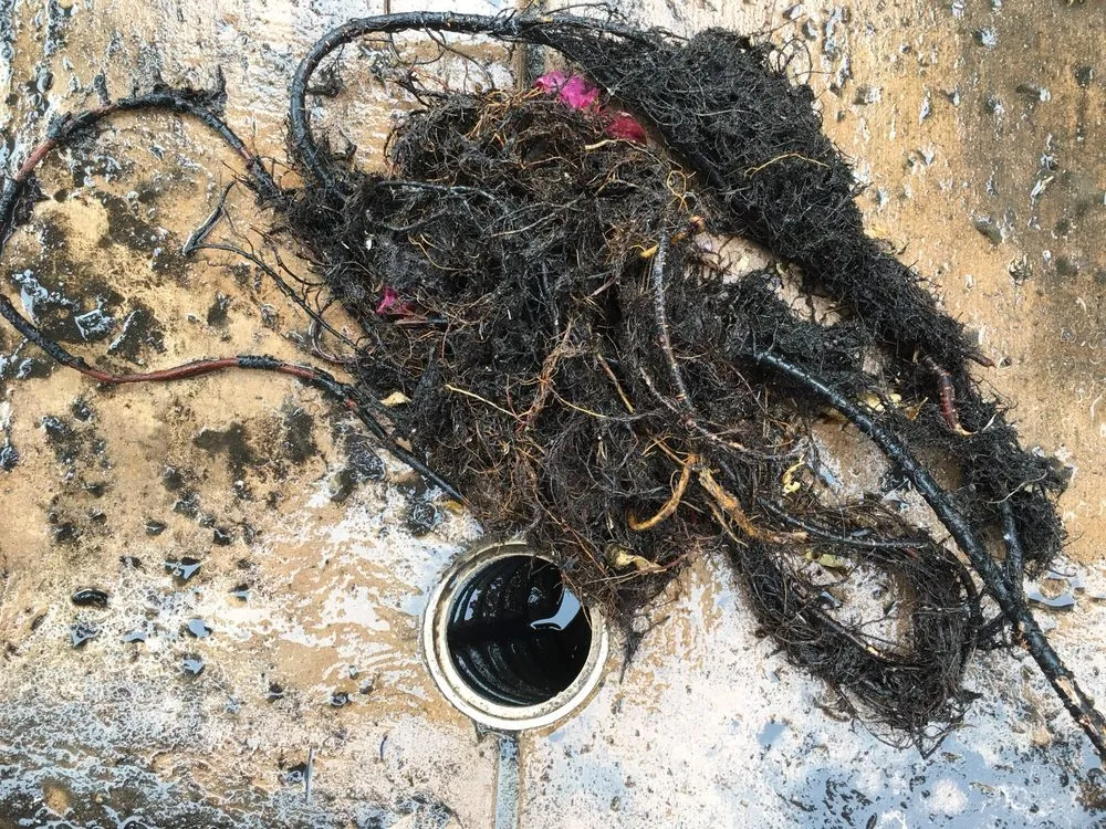 Slide of Sunset Professional Plumbing Services