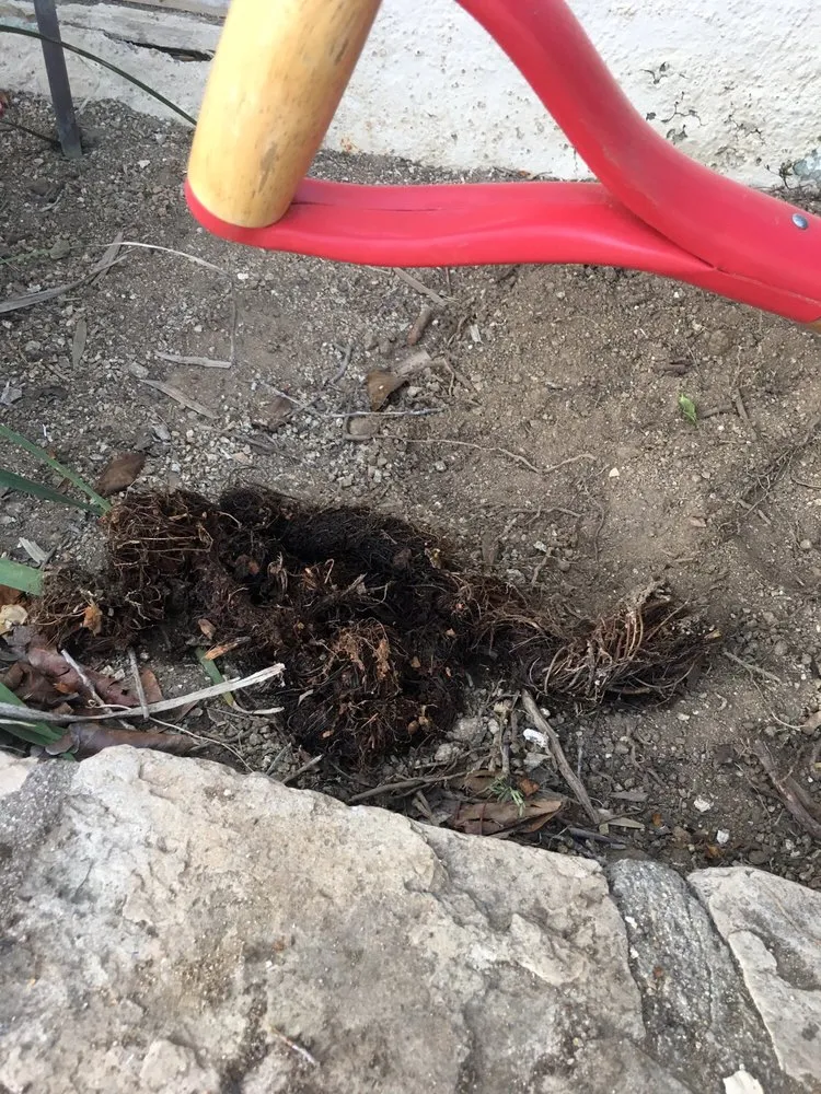 Slide of Sunset West Plumbing & Rooter