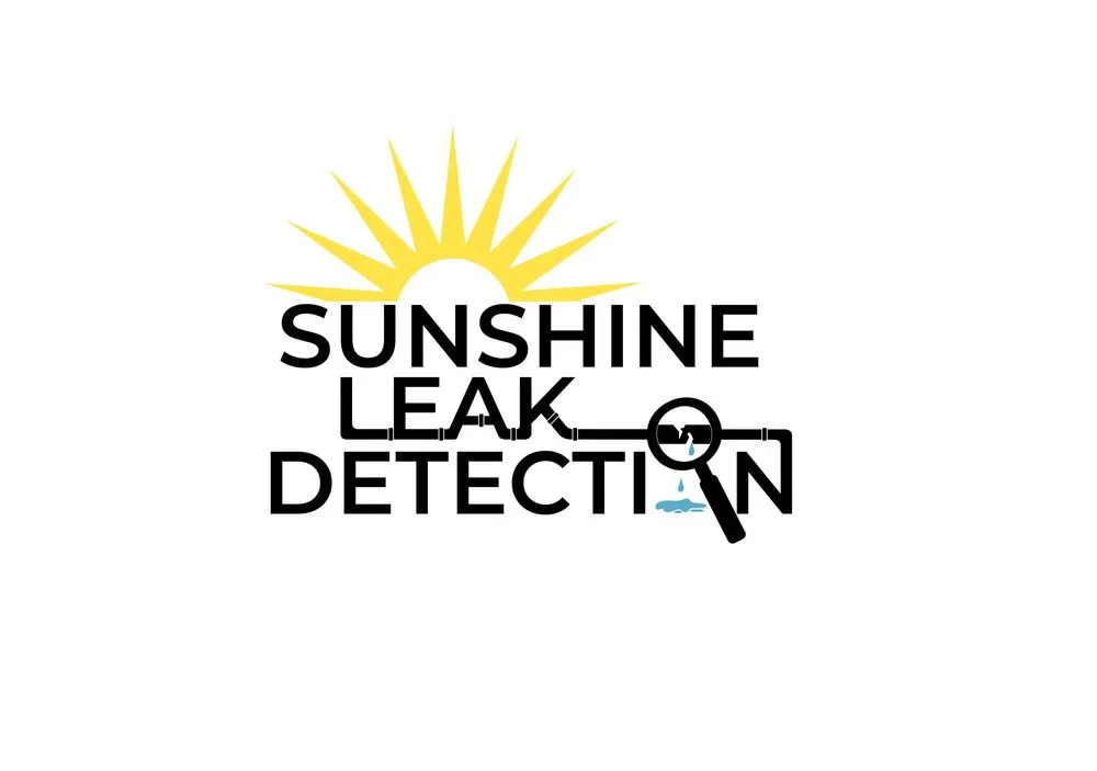 Professional water heater service for homes in Altha, FL by Sunshine Leak Detection