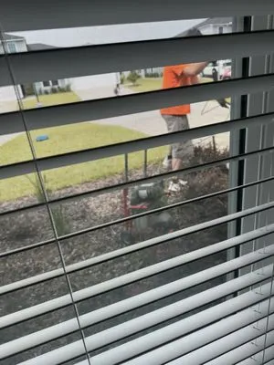 Sunshine State Plumbing Services Logo