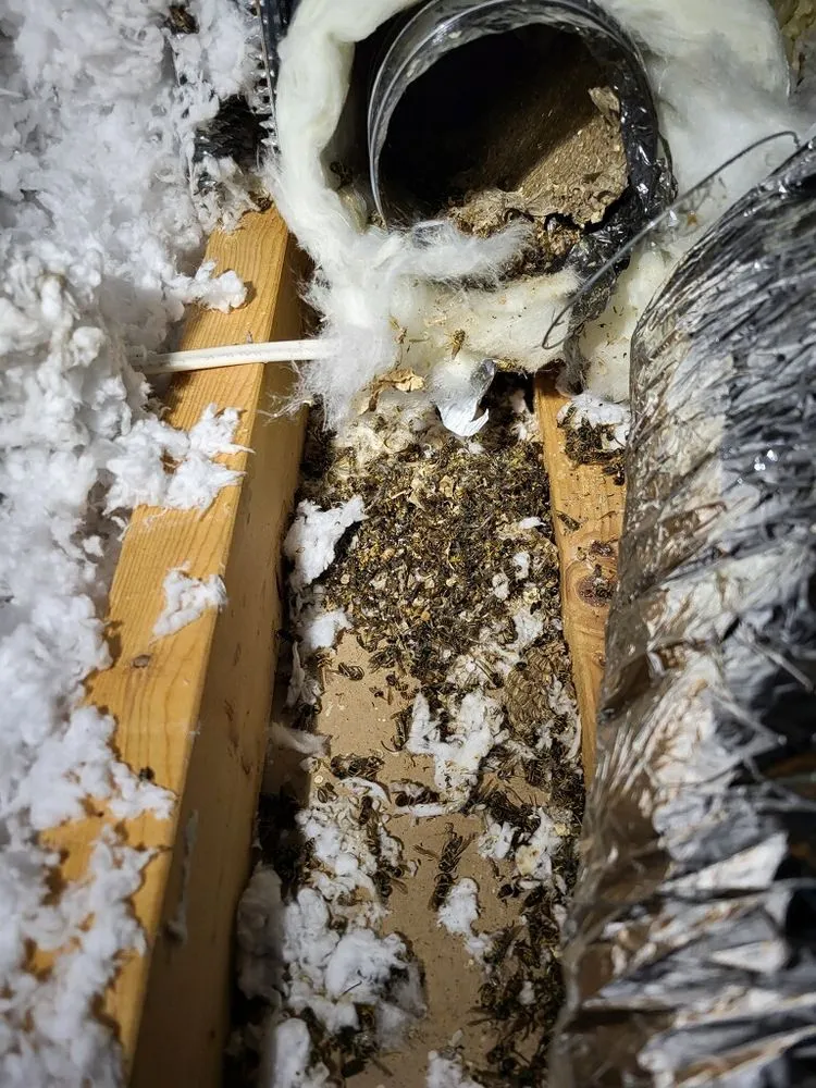 Slide of Sunshine Trade Services