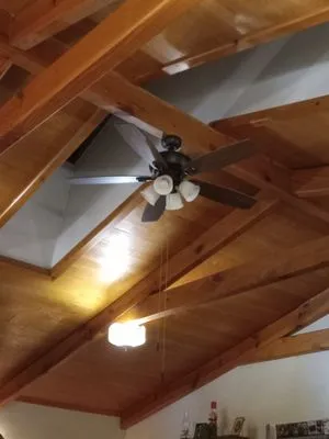 Sunshine Trade Services Logo