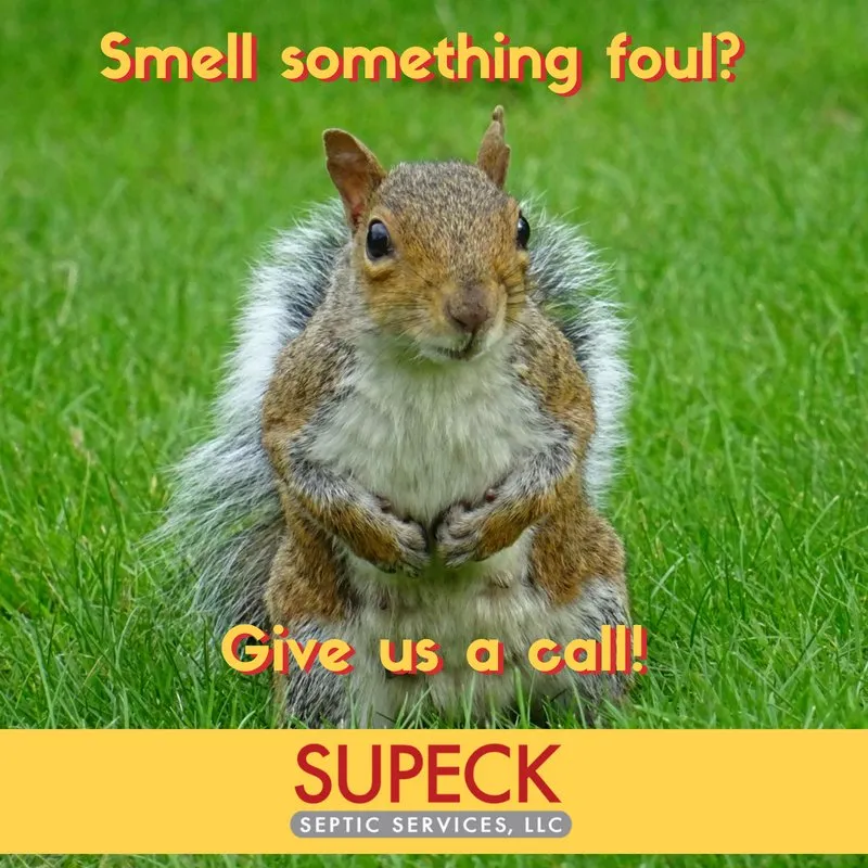 Slide of Supeck Septic Services