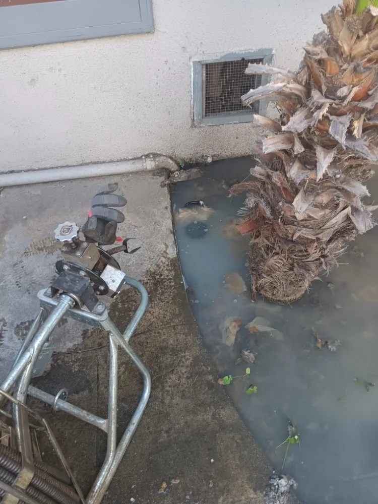 Slide of Super Beast Plumbing