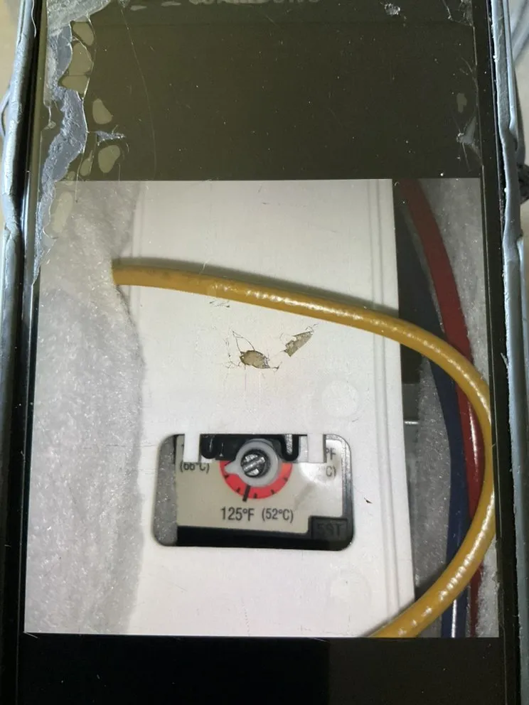 Slide of Super Dave's Rooter