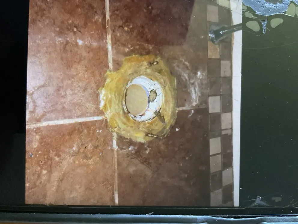 Slide of Super Dave's Rooter