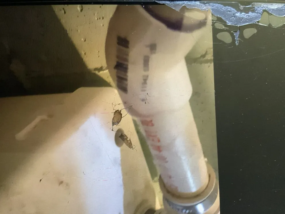 Slide of Super Dave's Rooter