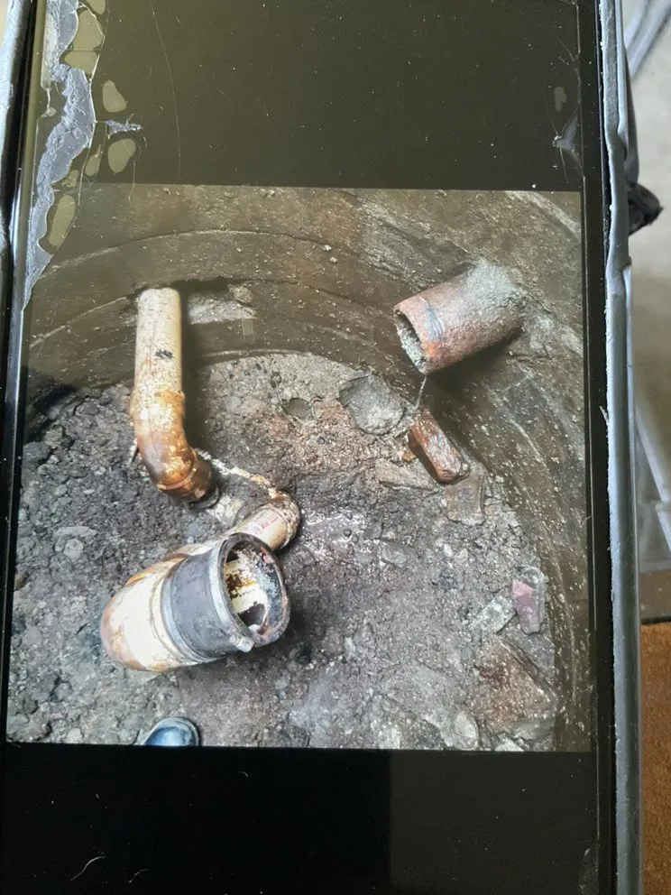 Slide of Super Dave's Rooter