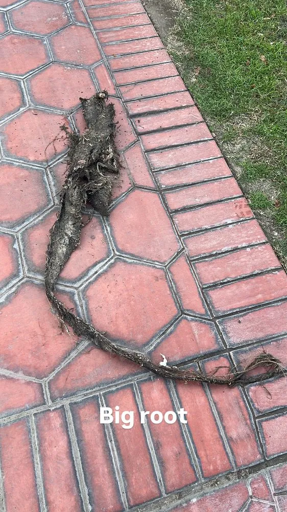 Slide of Super Marco Plumbing