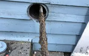 Slide of Superior Drain Cleaning