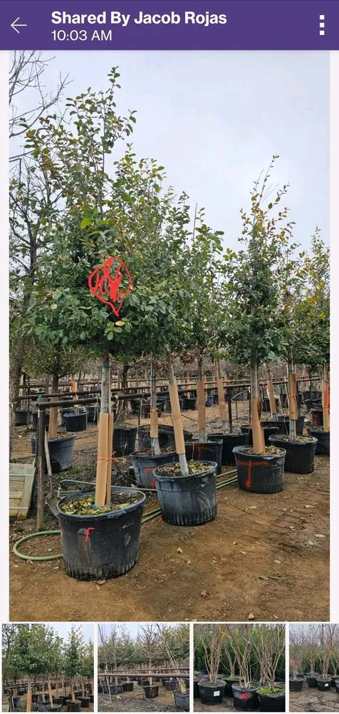 Slide of Superior Irrigation & Lawn