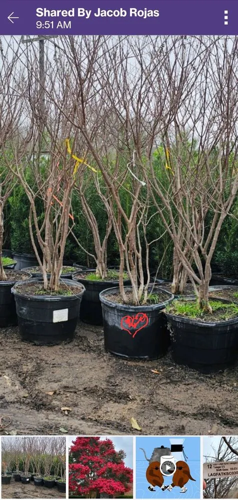 Slide of Superior Irrigation & Lawn