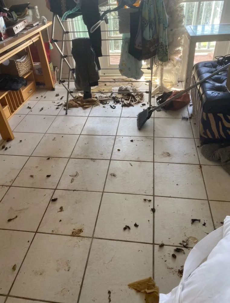 Slide of Superior Property Solutions