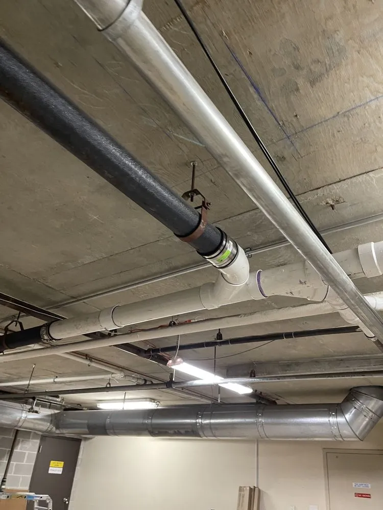 Slide of Superior Rooter