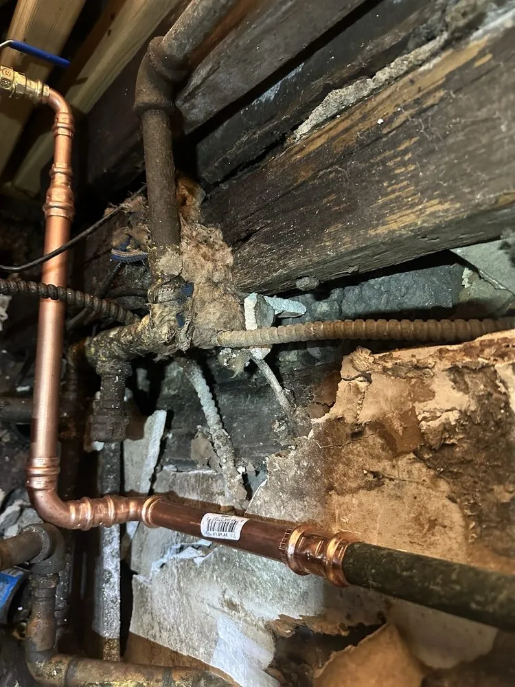 Slide of Superior Rooter