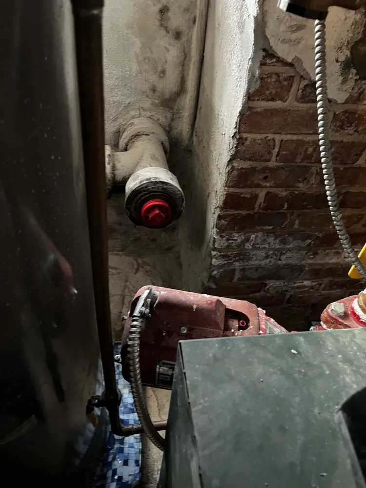 Slide of Superior Rooter