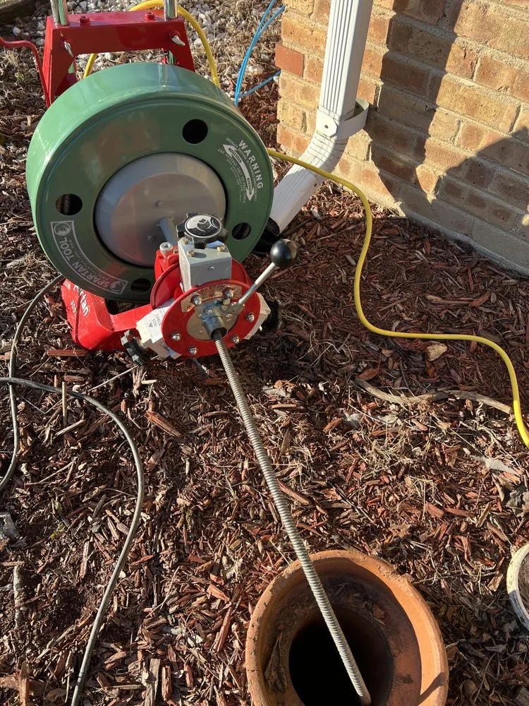 Slide of Superior Rooter