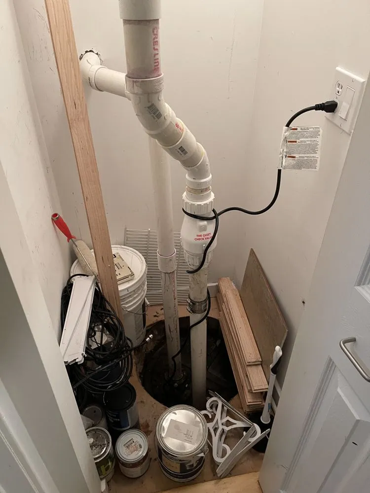 Slide of Superior Rooter