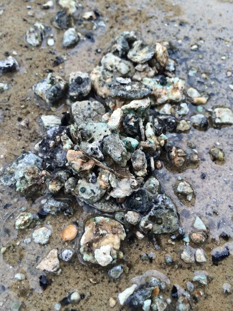 Trusted leak detection in Slidell, LA by Superior Services A/C, Electric, and Plumbing