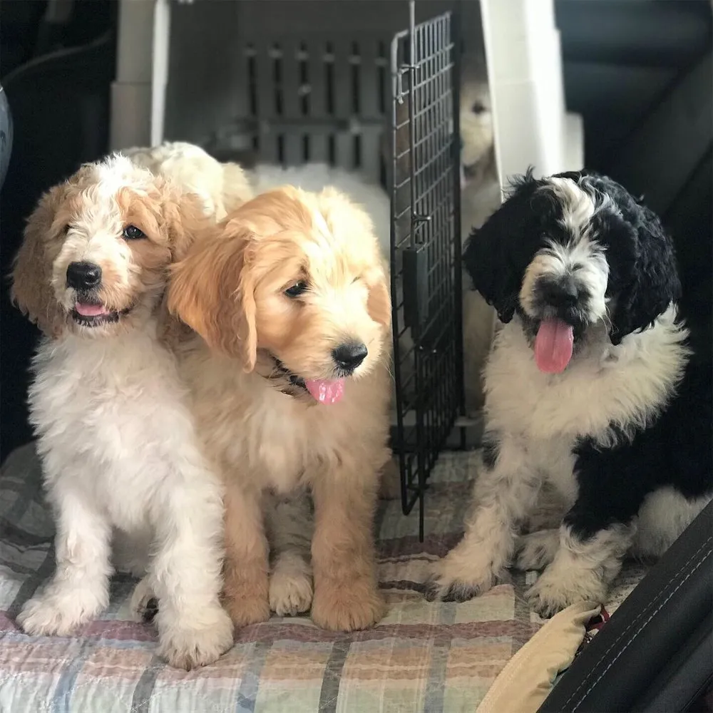 Slide of Superior Water & Air - SLC