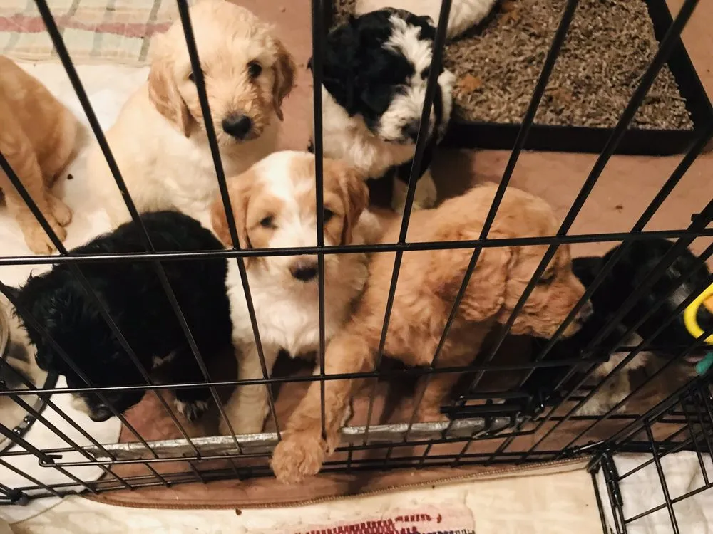 Slide of Superior Water & Air - SLC