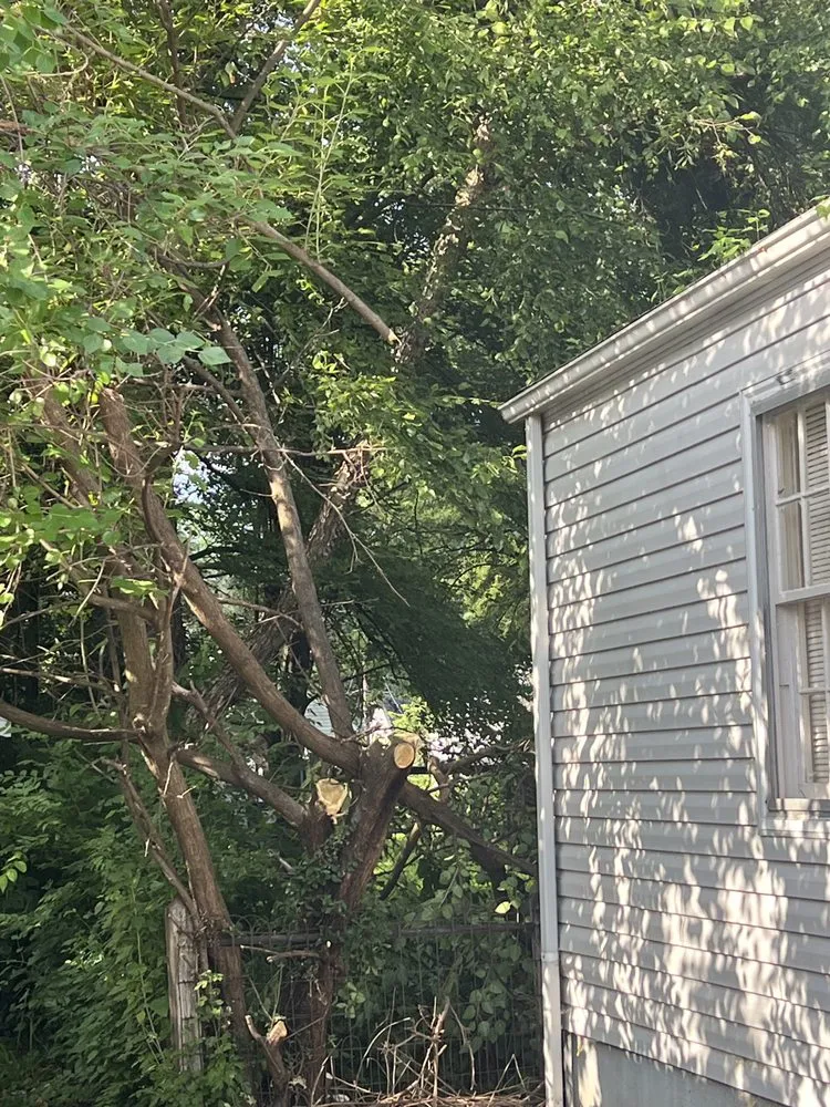 Emergency drain cleaning experts serving Louisville, KY - Superman Handyman Shan