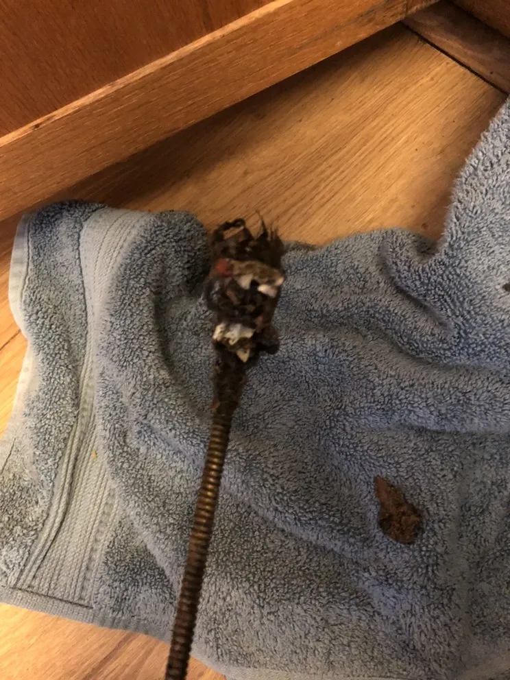 Professional leak detection in Los Angeles, CA by Supernova Rooter & Plumbing