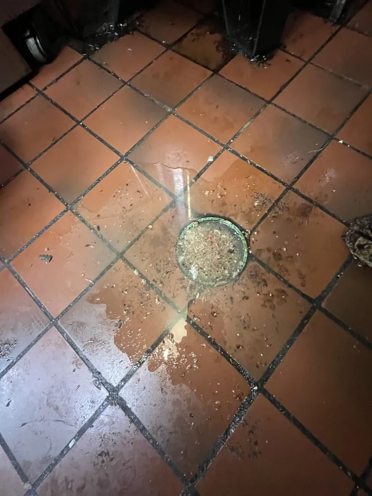 Slide of Supreme Drain Cleaning