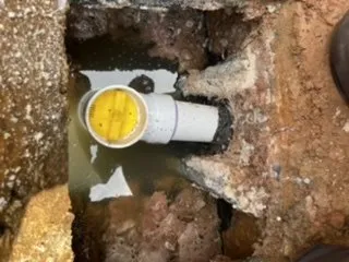 Slide of Supreme Rooter and Septic