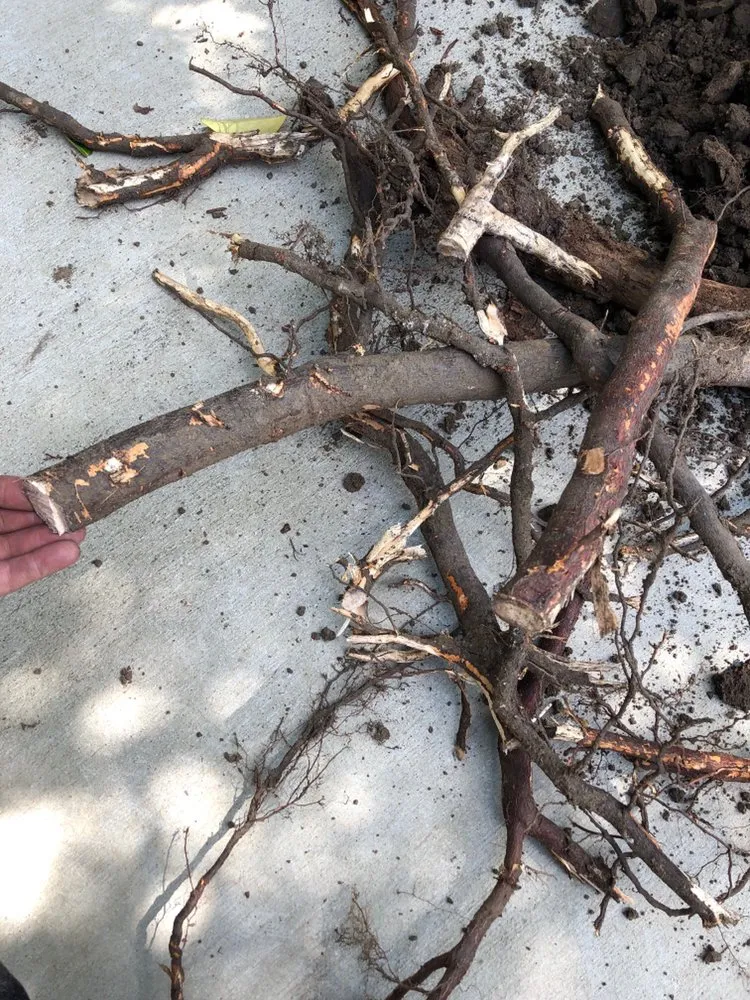 Expert pipe repair service in San Leandro, CA - Sure Shot Rooter & Plumbing