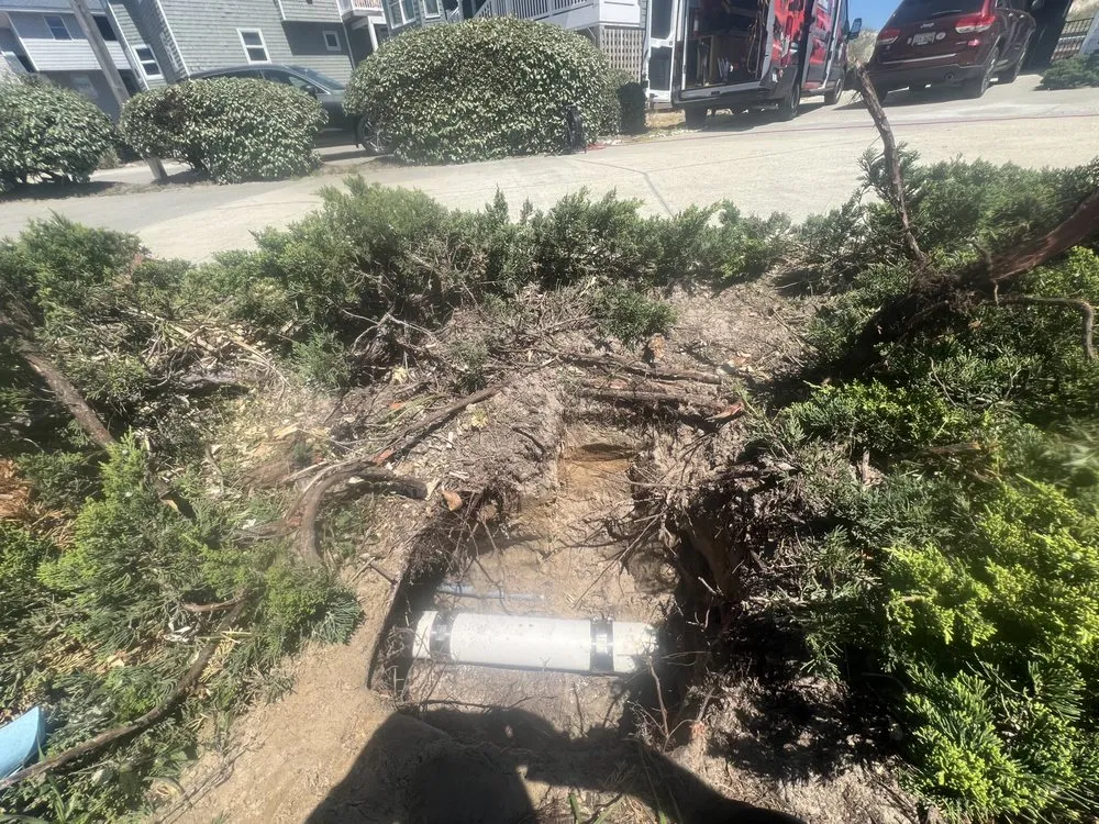 Slide of Surfin' Dood Plumbing