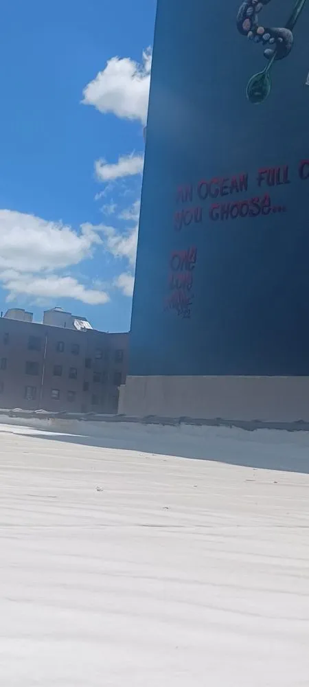 Slide of Survival Tech Handyman