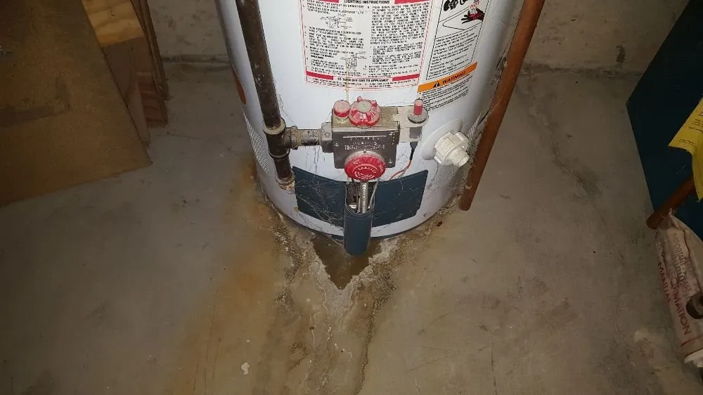 Slide of Sustman Services