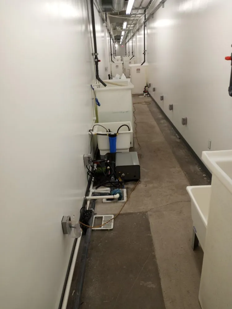 Trusted emergency plumbing service in Apache Junction, AZ - SW Handyman And Plumbing Services