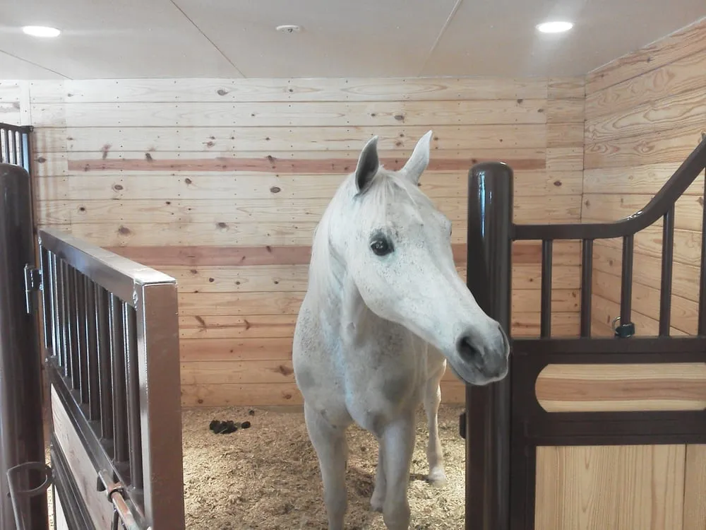 Slide of Swager International