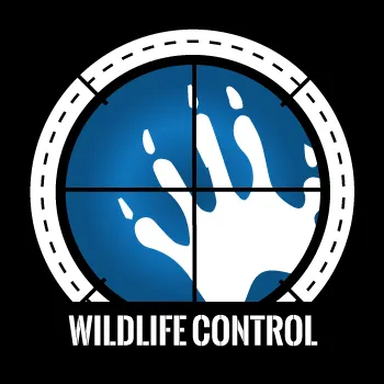 Slide of SWAT Services