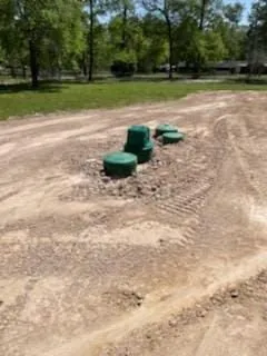 Slide of Sweet Septic