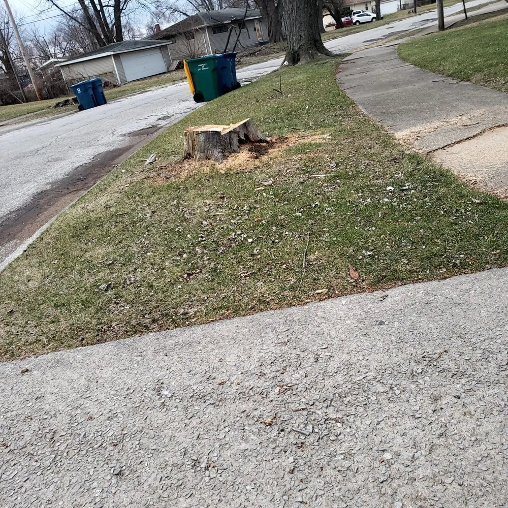 Slide of Swelfer Operations