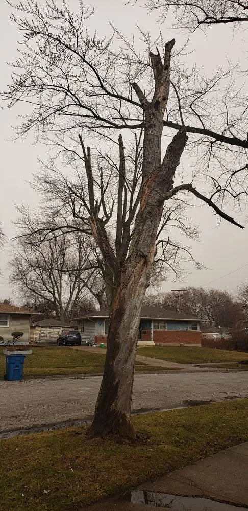 Slide of Swelfer Operations