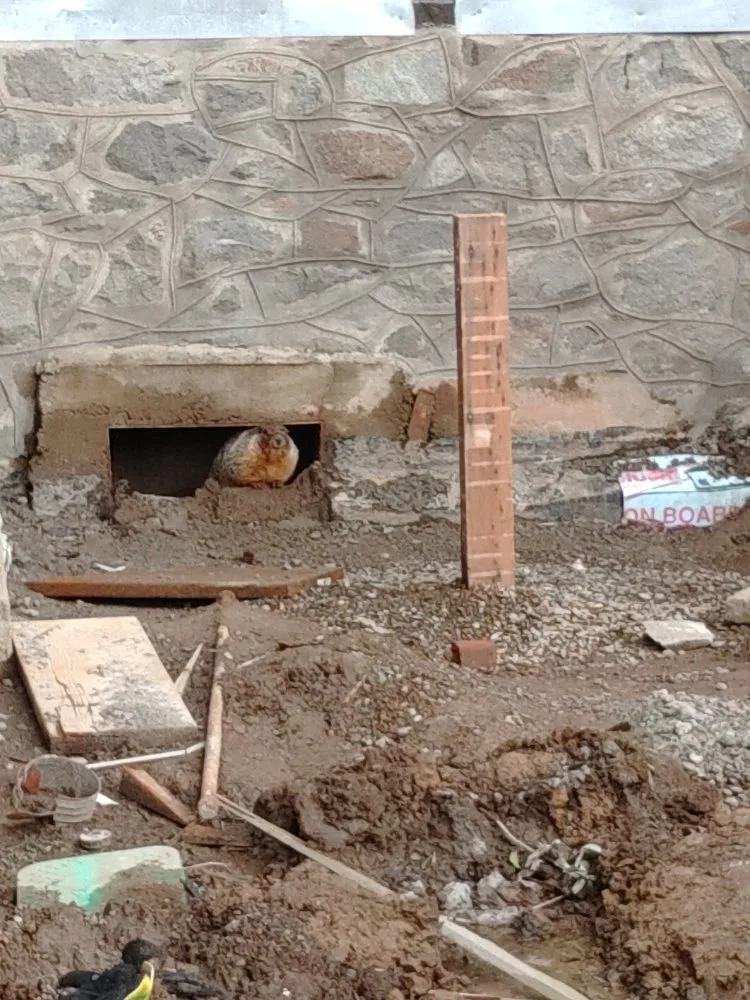 Slide of Swell Plumbing