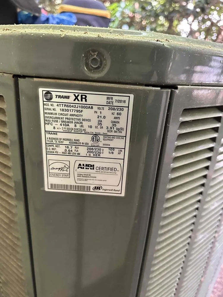 Slide of Swift Brothers