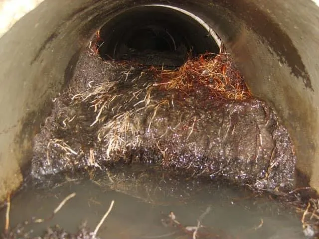 Trusted pipe repair experts serving Chesterfield, VA - Swift Creek Plumbing Company